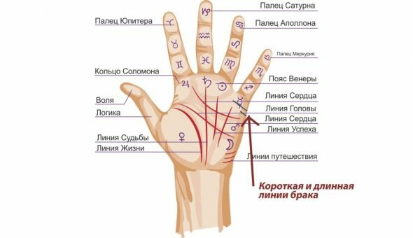 Толкование линии брака на руке